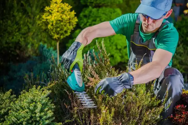 landscaping services Ironville